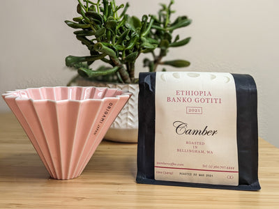 Brewing Ethiopian Banko Gotiti by Camber Coffee with Meghan-Annette