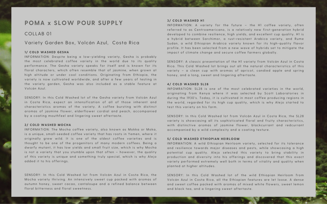 POMA Coffee x SLOW POUR SUPPLY - Variety Garden Box, Volcan Azul